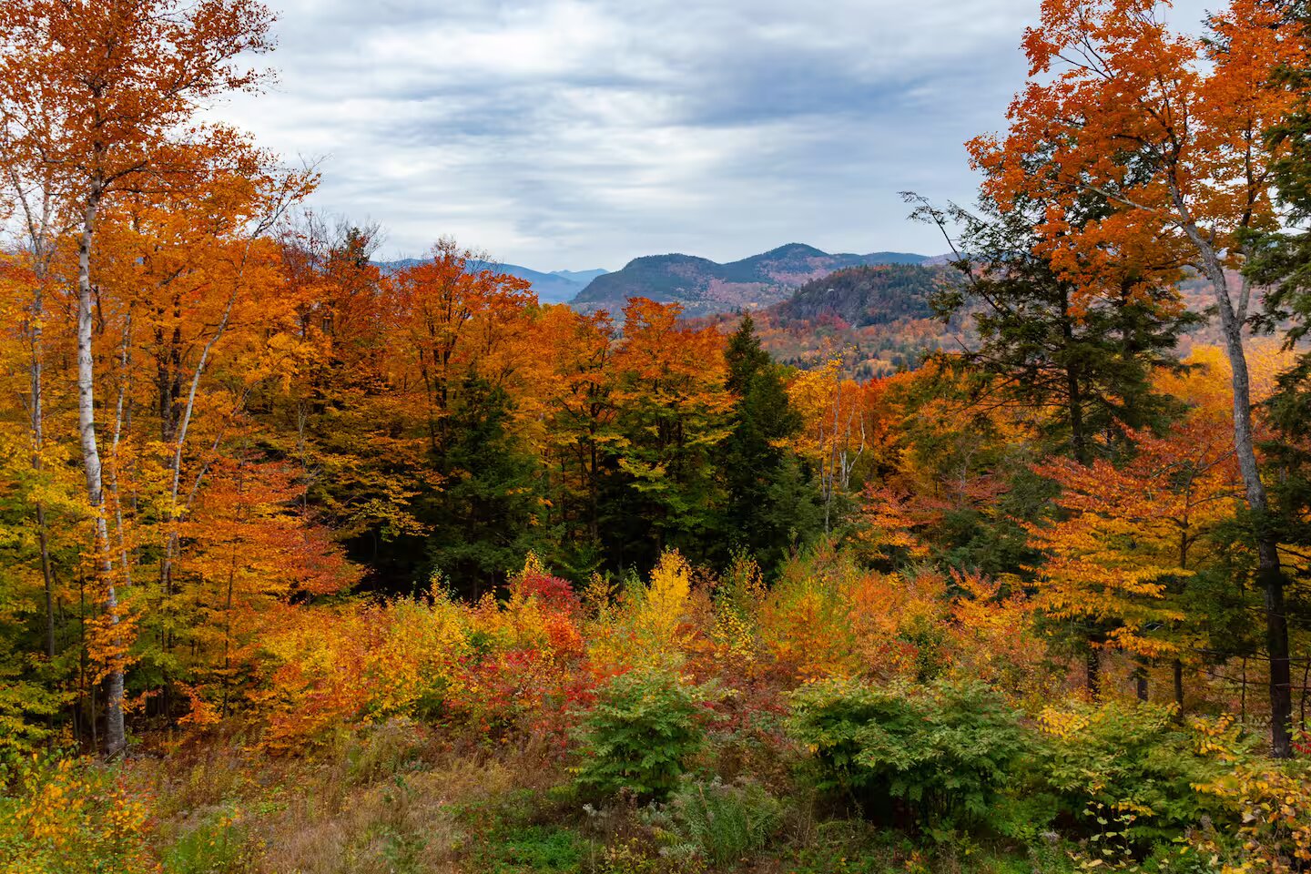 Fall foliage panorama